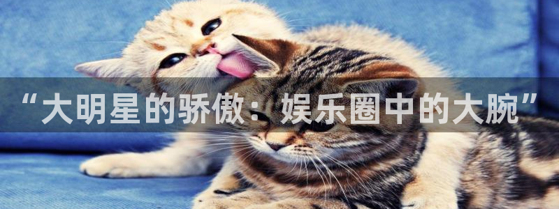 恒盛娱乐官网：“大明星的骄傲：娱乐圈中的大腕”