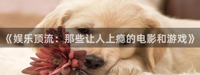 恒盛娱乐登陆：《娱乐顶流：那些让人上瘾的电影和游戏》