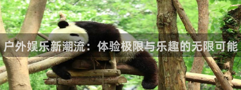 恒盛娱乐下载：户外娱乐新潮流：体验极限与乐趣的无限可能